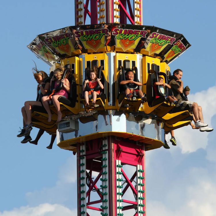 Ferris Wheel by Amusement Ride Manufacturer in Delhi