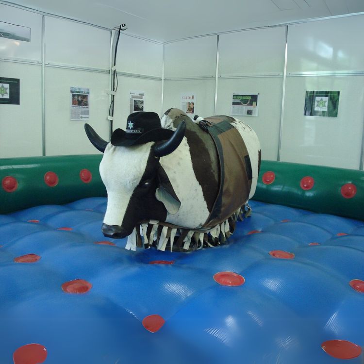 Mechanical Bull Ride Manufacturer in Delhi