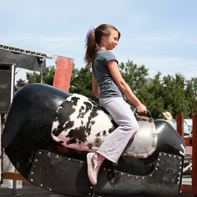 Mechanical Bull Ride Manufacturer in Delhi